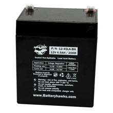 PC1250 PE4-12R PE412R PE4.5-12R PE4.512R E12V4.5F1 PE12V4.0 PS-1242 Lead Acid Battery